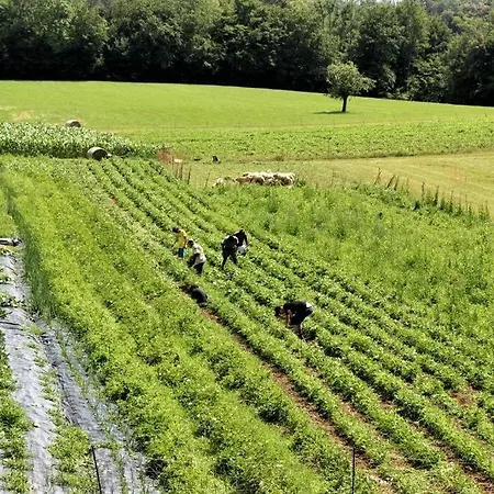 Two Bedrooms, Bathroom And Kitchen With Shared Access In Organic Farm * Belluno