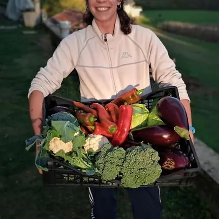 דירה Double Bedroom, Kitchen, Bathroom In Organic Farm בלונו