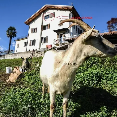 Apartment Double Bedroom, Kitchen, Bathroom In Organic Farm Belluno